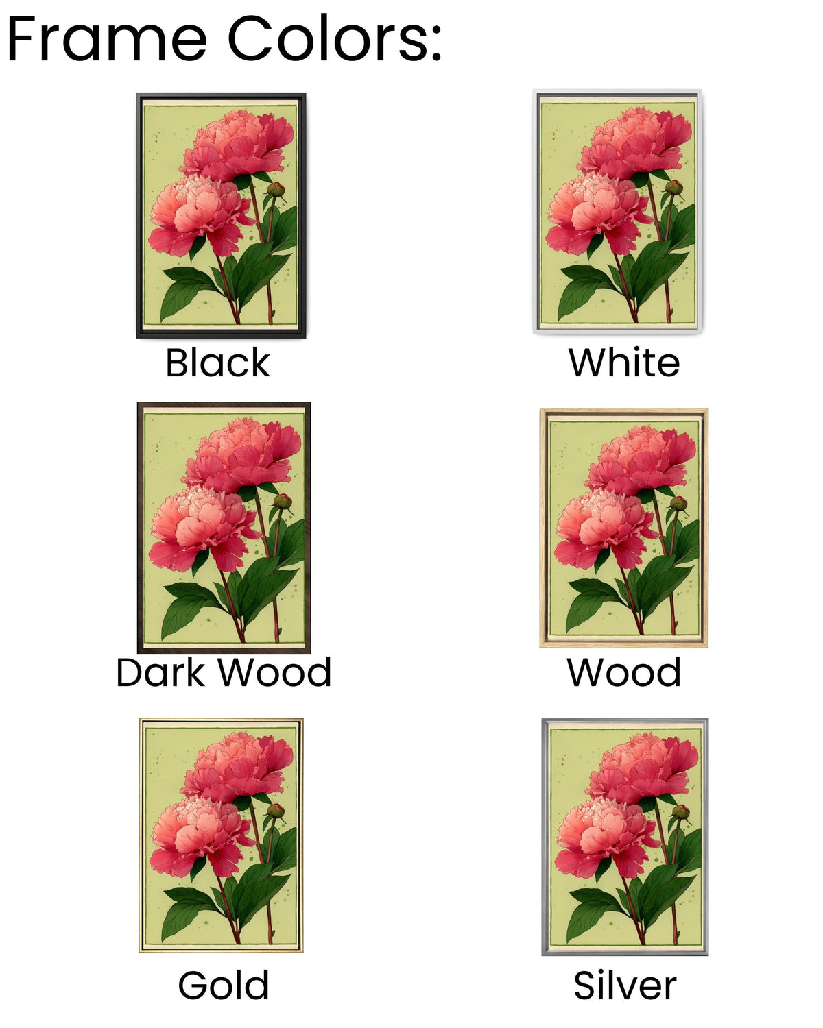 Peony Canvas Print: Modern Floral Illustration, Gallery Wall Art