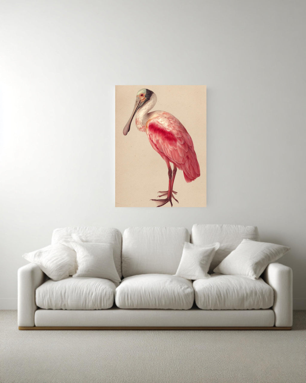 Roseate Spoonbill Canvas Print, Audubon Style Bird Illustration