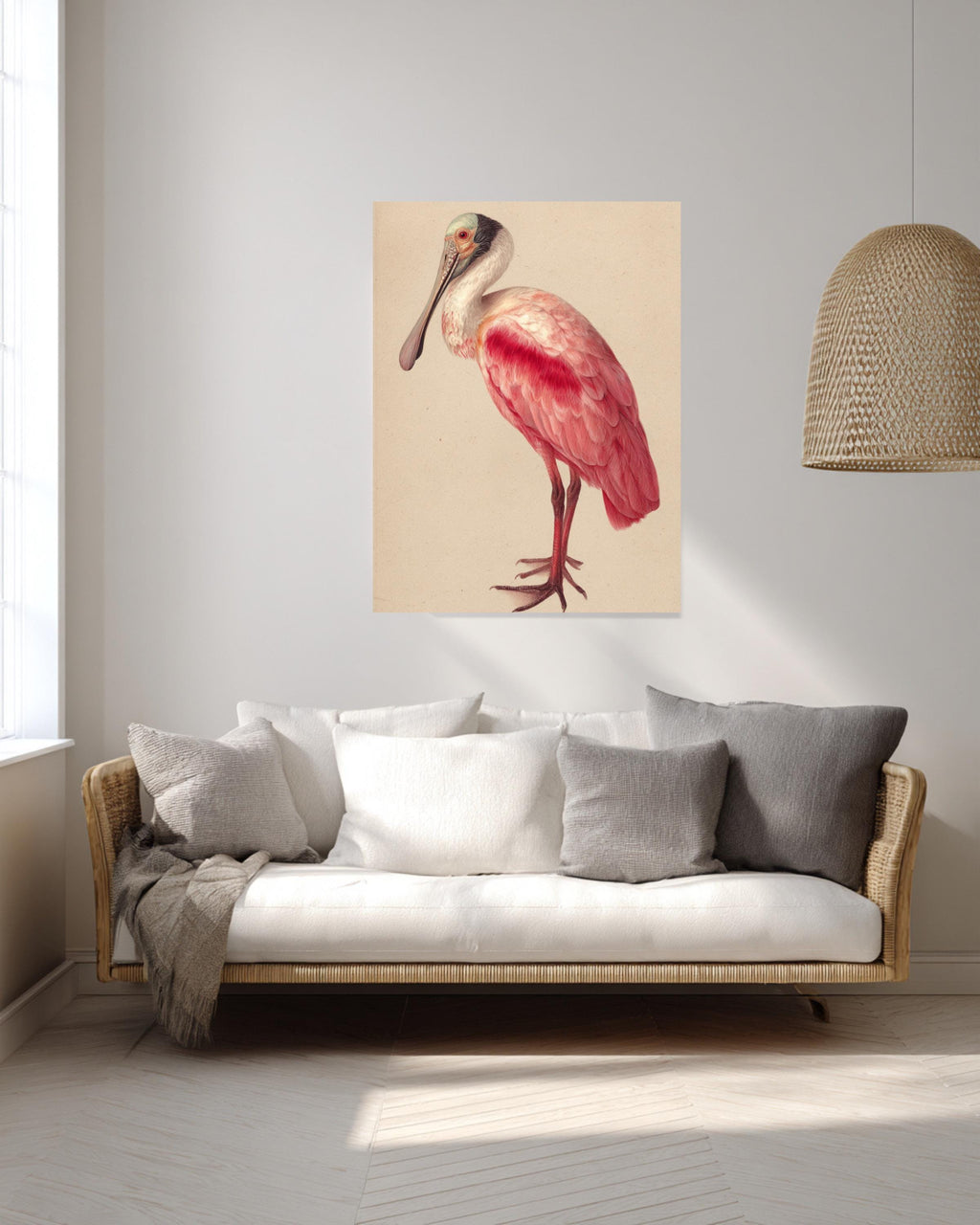 Roseate Spoonbill Canvas Print, Audubon Style Bird Illustration