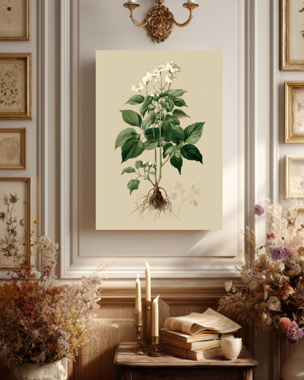 Vintage Botanical Print: White Flowers, Roots, Framed Canvas Art