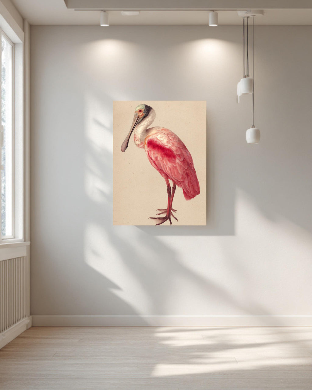Roseate Spoonbill Canvas Print, Audubon Style Bird Illustration