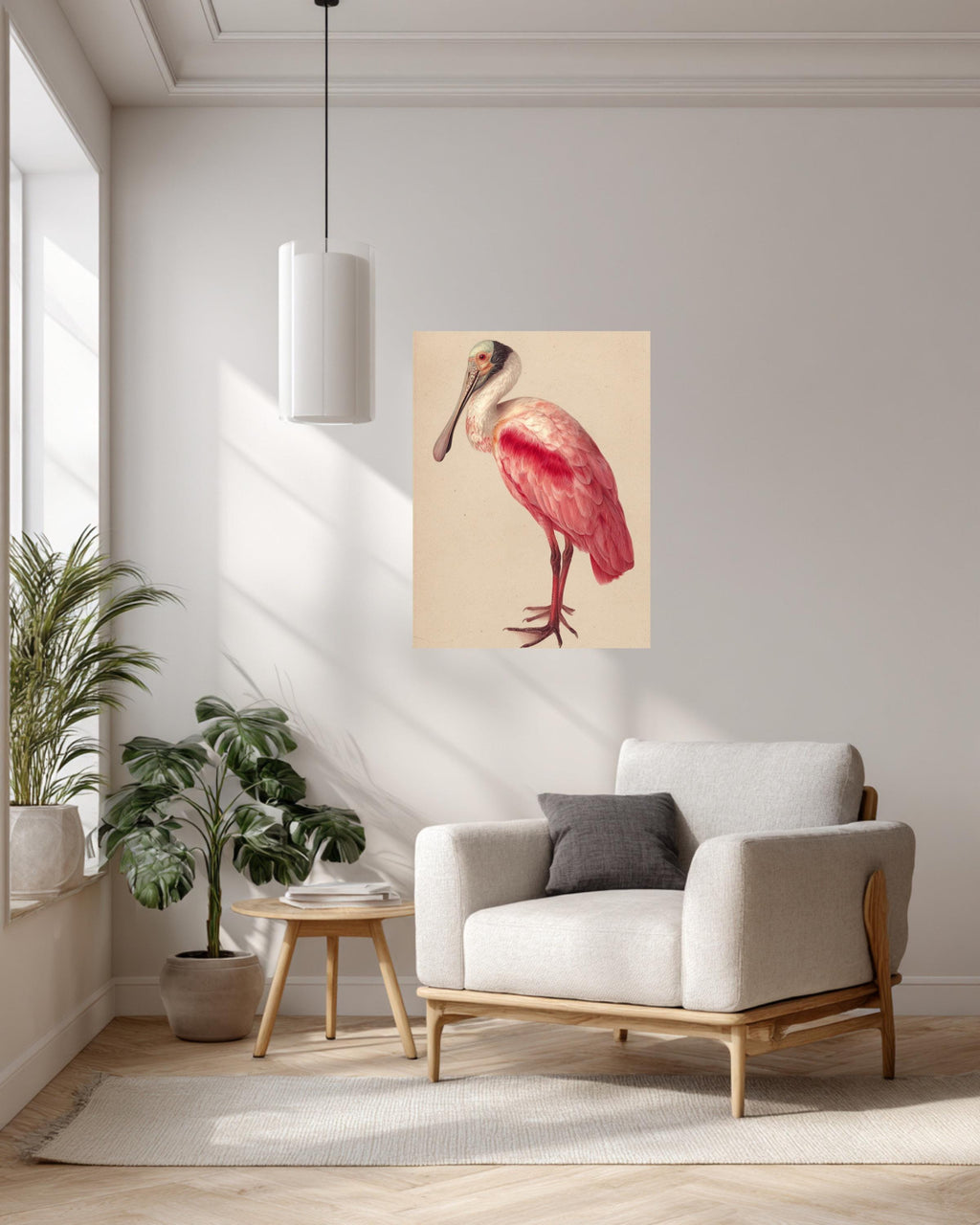 Roseate Spoonbill Canvas Print, Audubon Style Bird Illustration