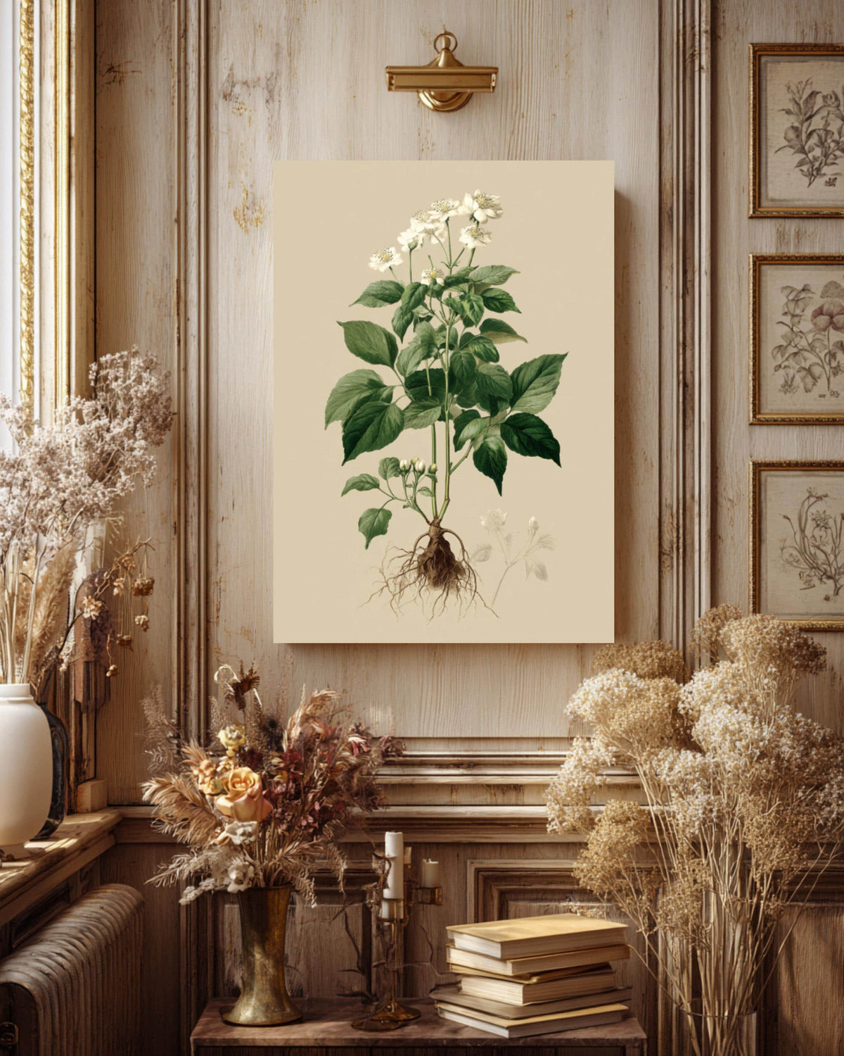 Vintage Botanical Print: White Flowers, Roots, Framed Canvas Art