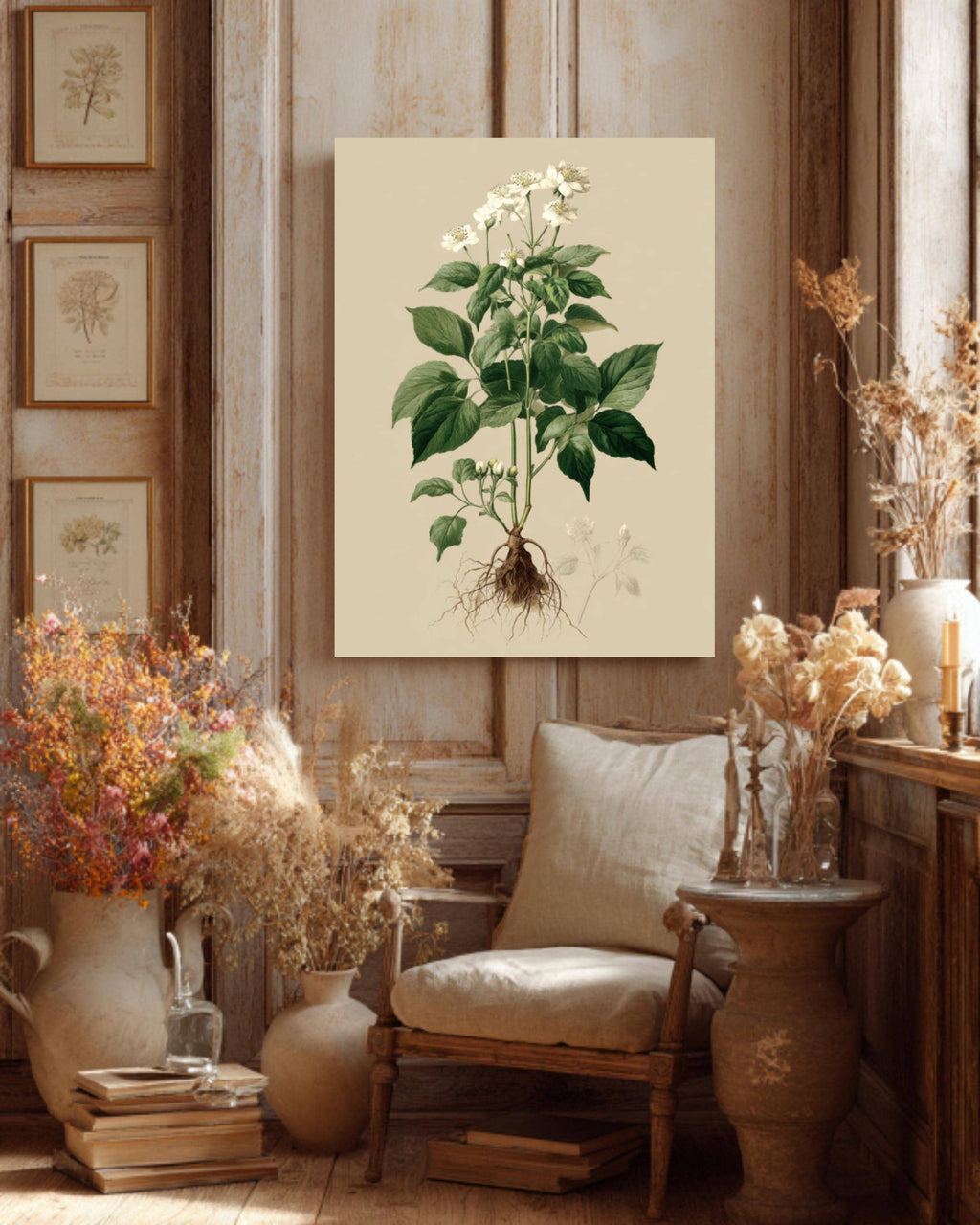 Vintage Botanical Print: White Flowers, Roots, Framed Canvas Art
